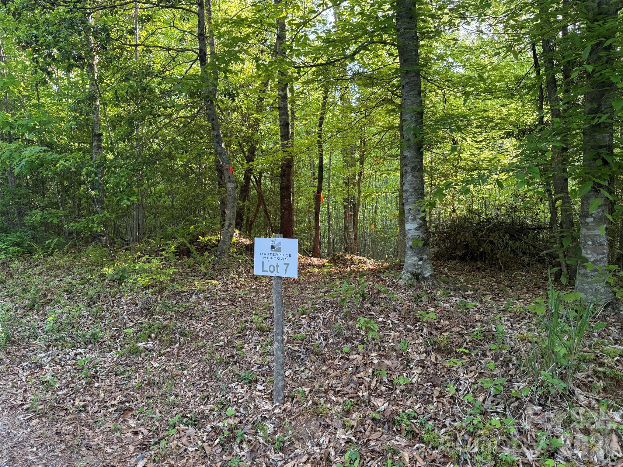 Lot # 7 West Legacy Drive Hendersonville NC 28739