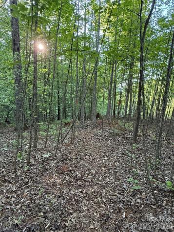 Lot # 7 West Legacy Drive Hendersonville NC 28739