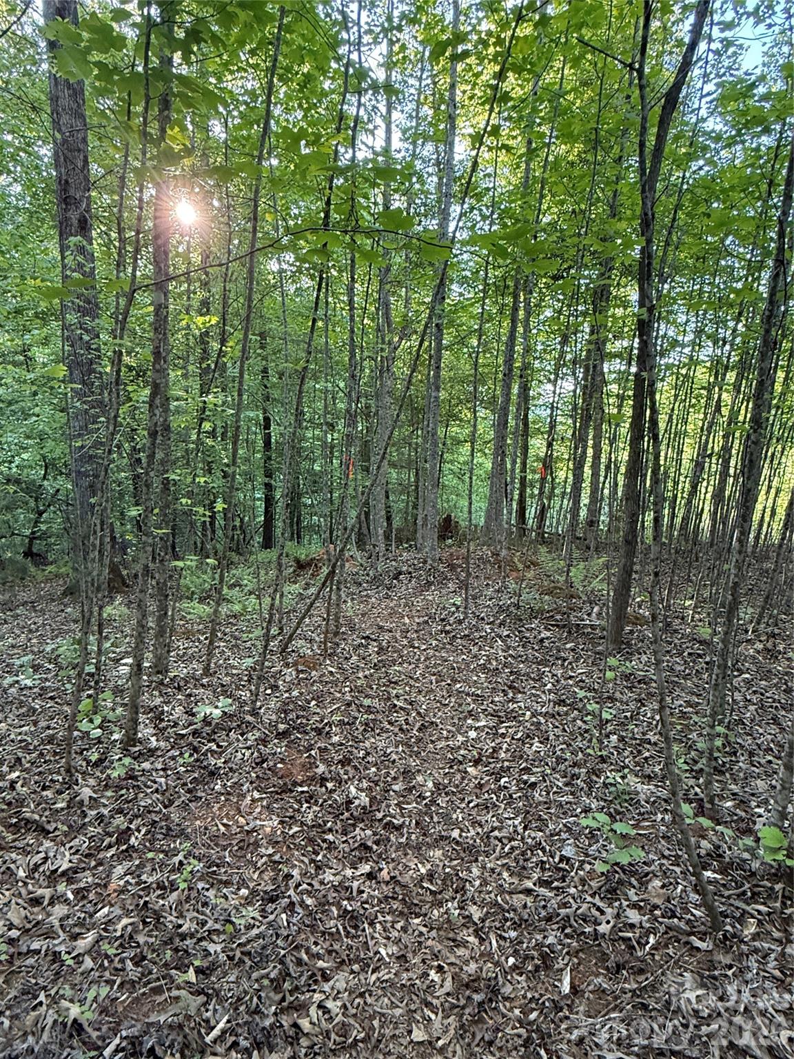 Lot # 7 West Legacy Drive Hendersonville NC 28739