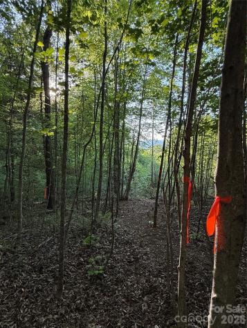 Lot # 7 West Legacy Drive Hendersonville NC 28739