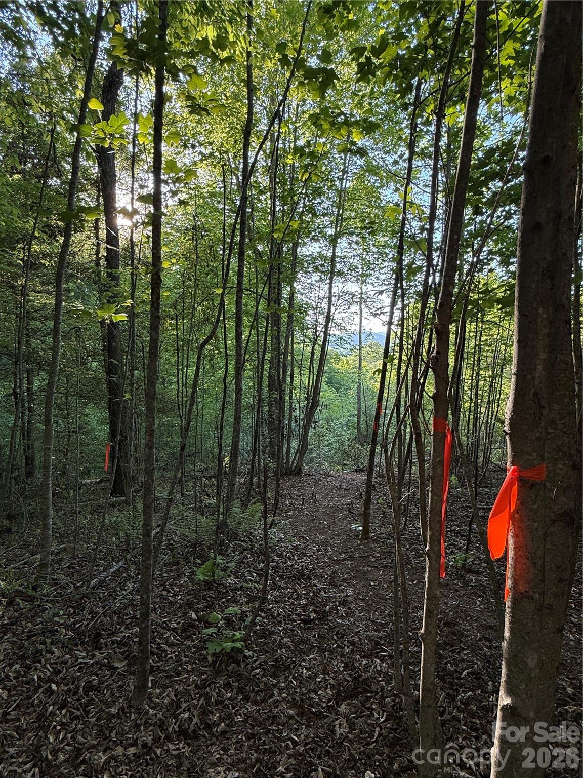 Lot # 7 West Legacy Drive Hendersonville NC 28739