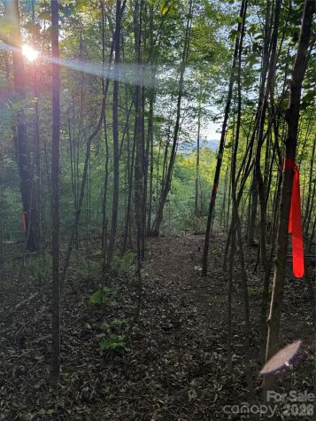 Lot # 7 West Legacy Drive Hendersonville NC 28739