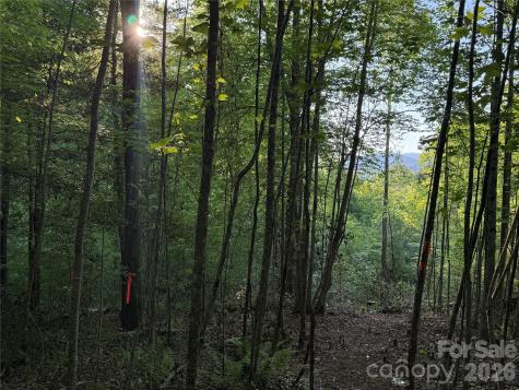 Lot # 7 West Legacy Drive Hendersonville NC 28739