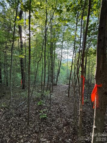 Lot # 7 West Legacy Drive Hendersonville NC 28739