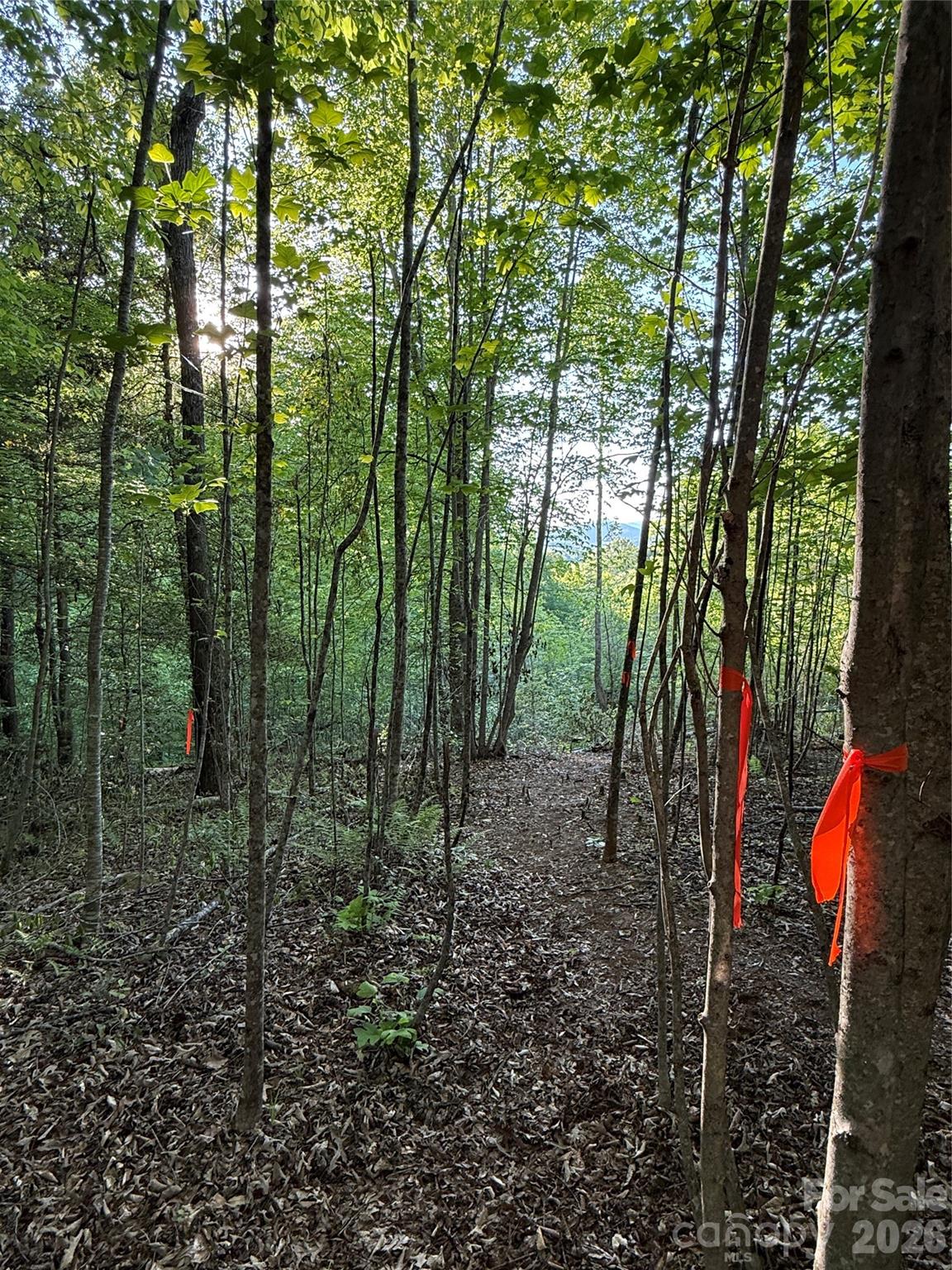 Lot # 7 West Legacy Drive Hendersonville NC 28739