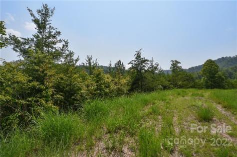 113 Chardonnay Avenue Marshall NC 28753