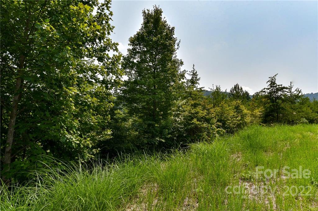 113 Chardonnay Avenue Marshall NC 28753