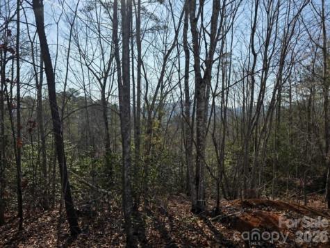 Lot 8 Kerlee Lane Old Fort NC 28762