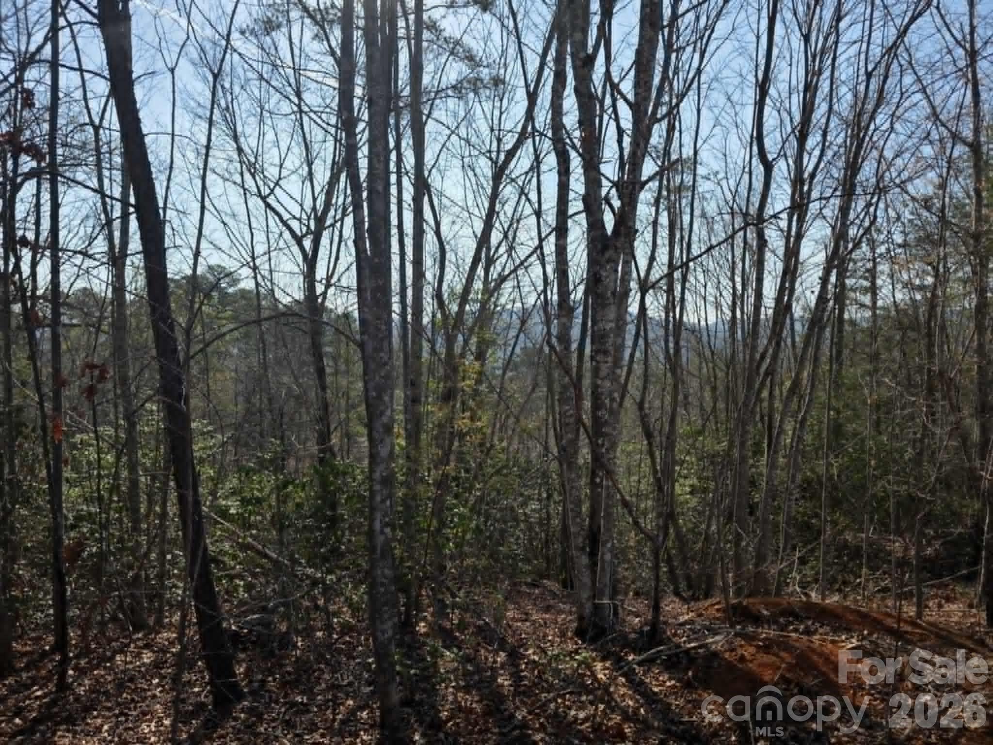 Lot 8 Kerlee Lane Old Fort NC 28762
