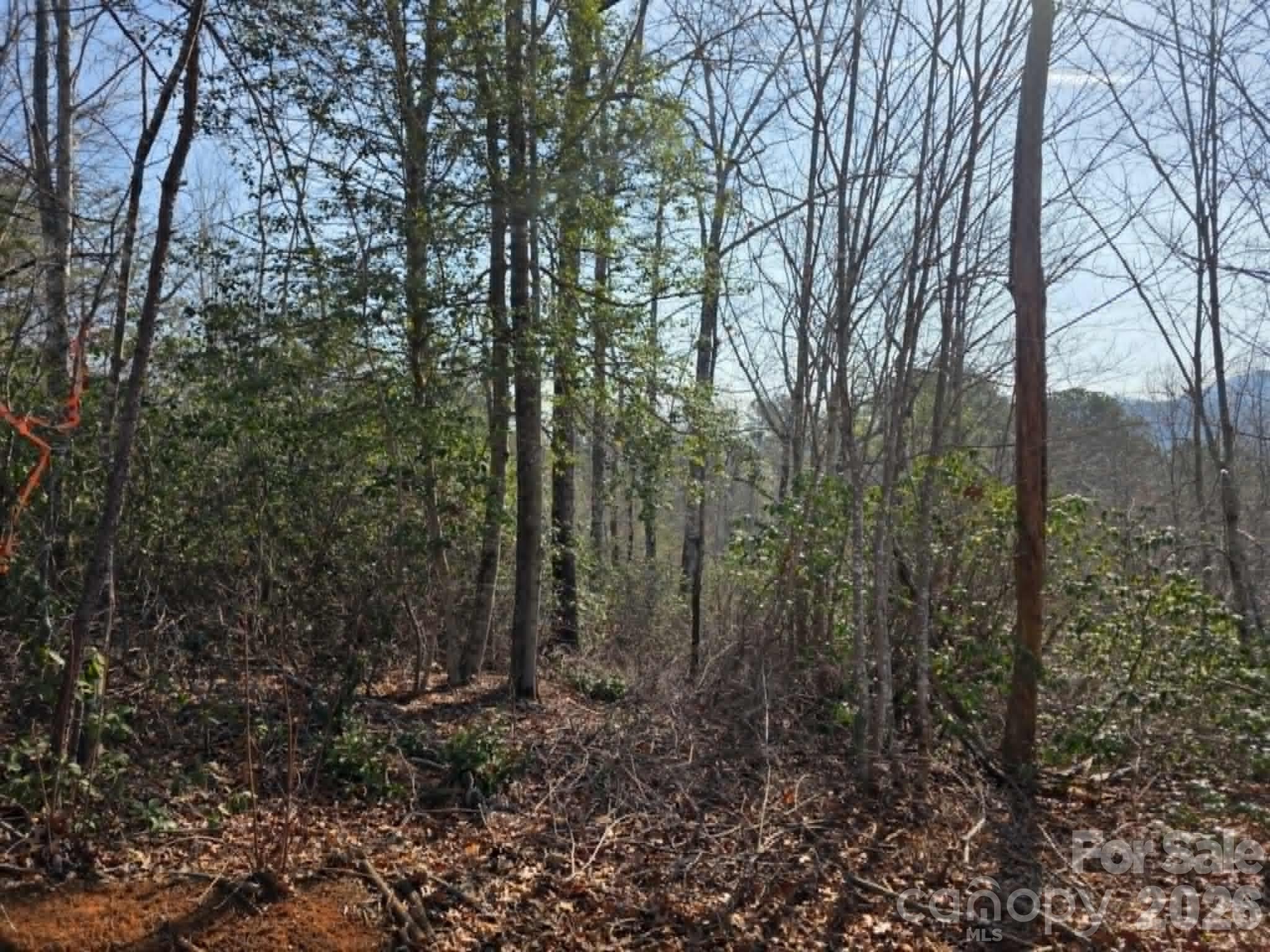 Lot 8 Kerlee Lane Old Fort NC 28762