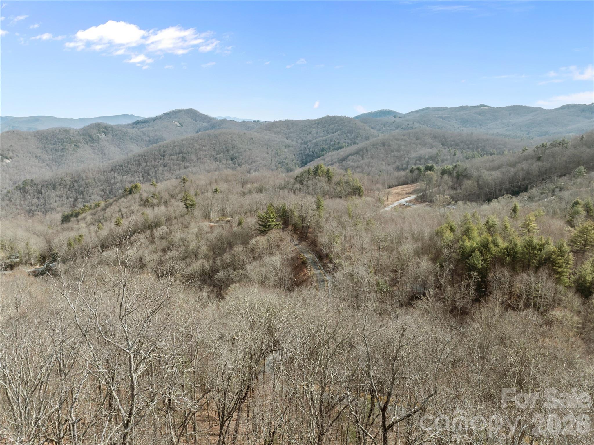 1 Bridgestone Drive Glenville NC 28736