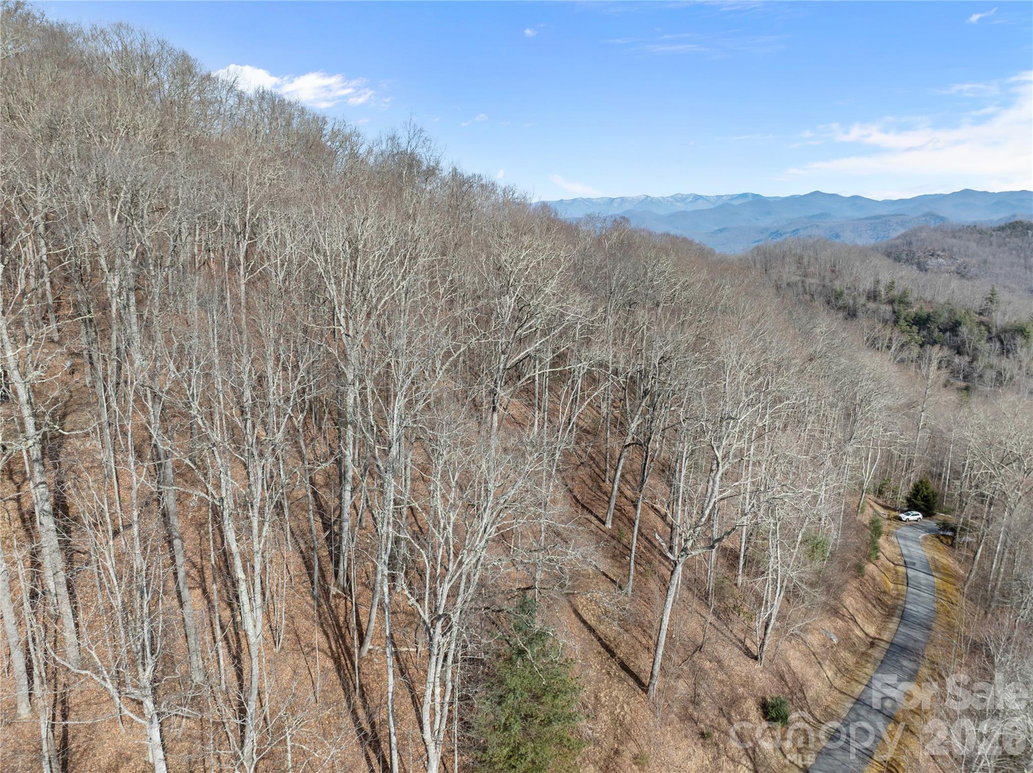 1 Bridgestone Drive Glenville NC 28736
