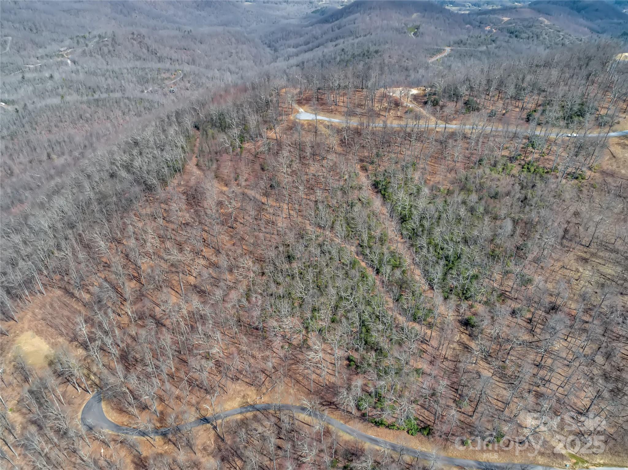 154 High Cliffs Trail Black Mountain NC 28711