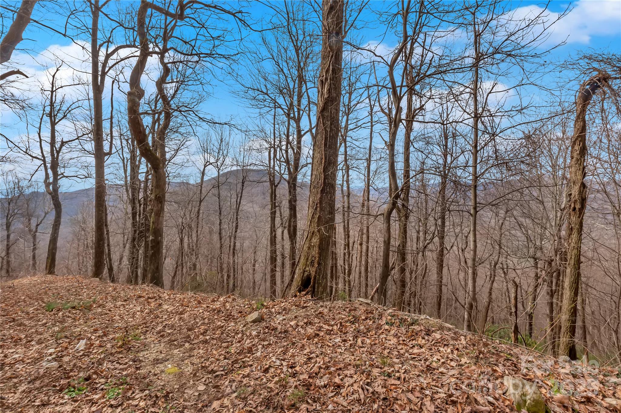 154 High Cliffs Trail Black Mountain NC 28711