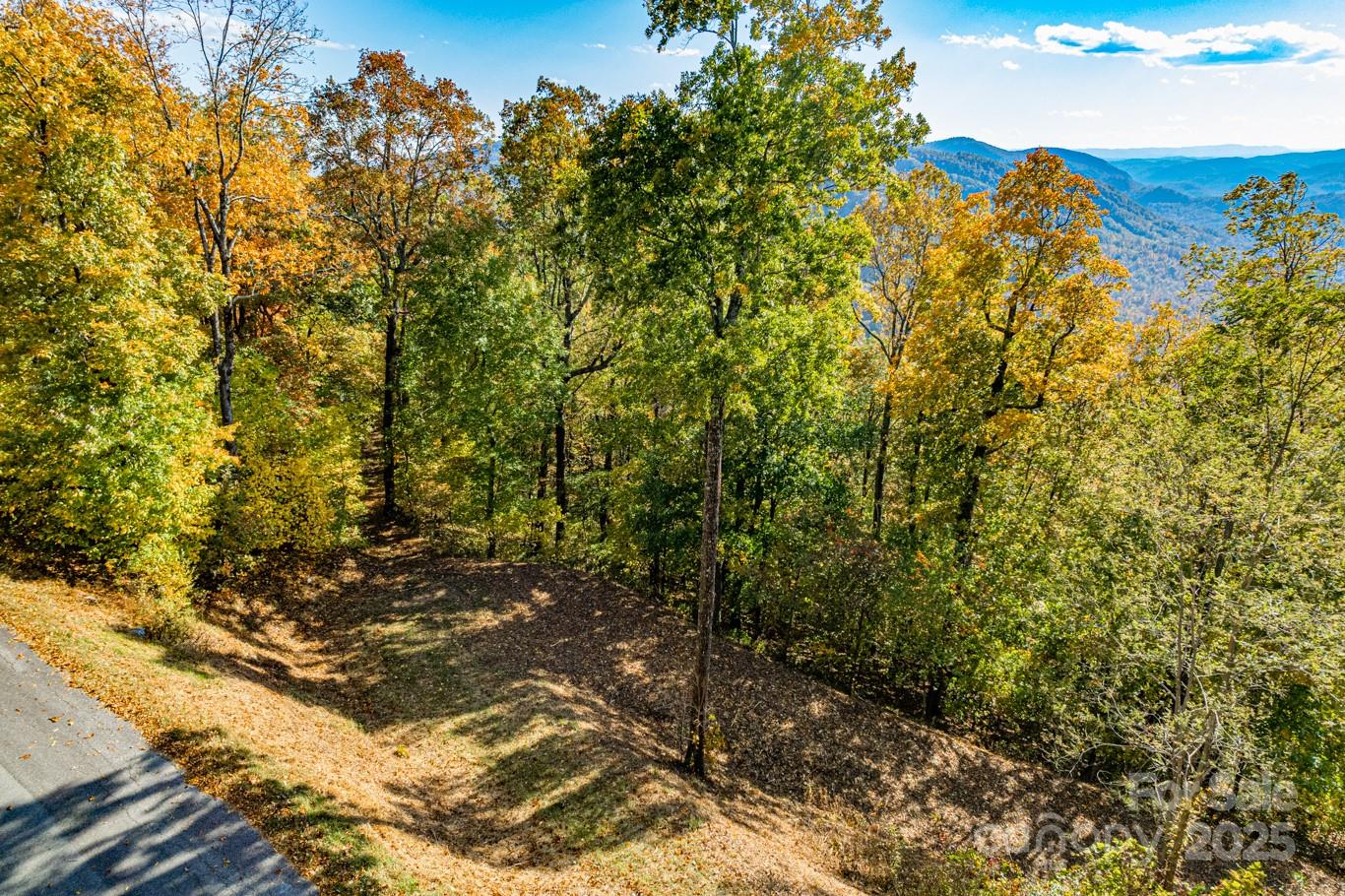 154 High Cliffs Trail Black Mountain NC 28711