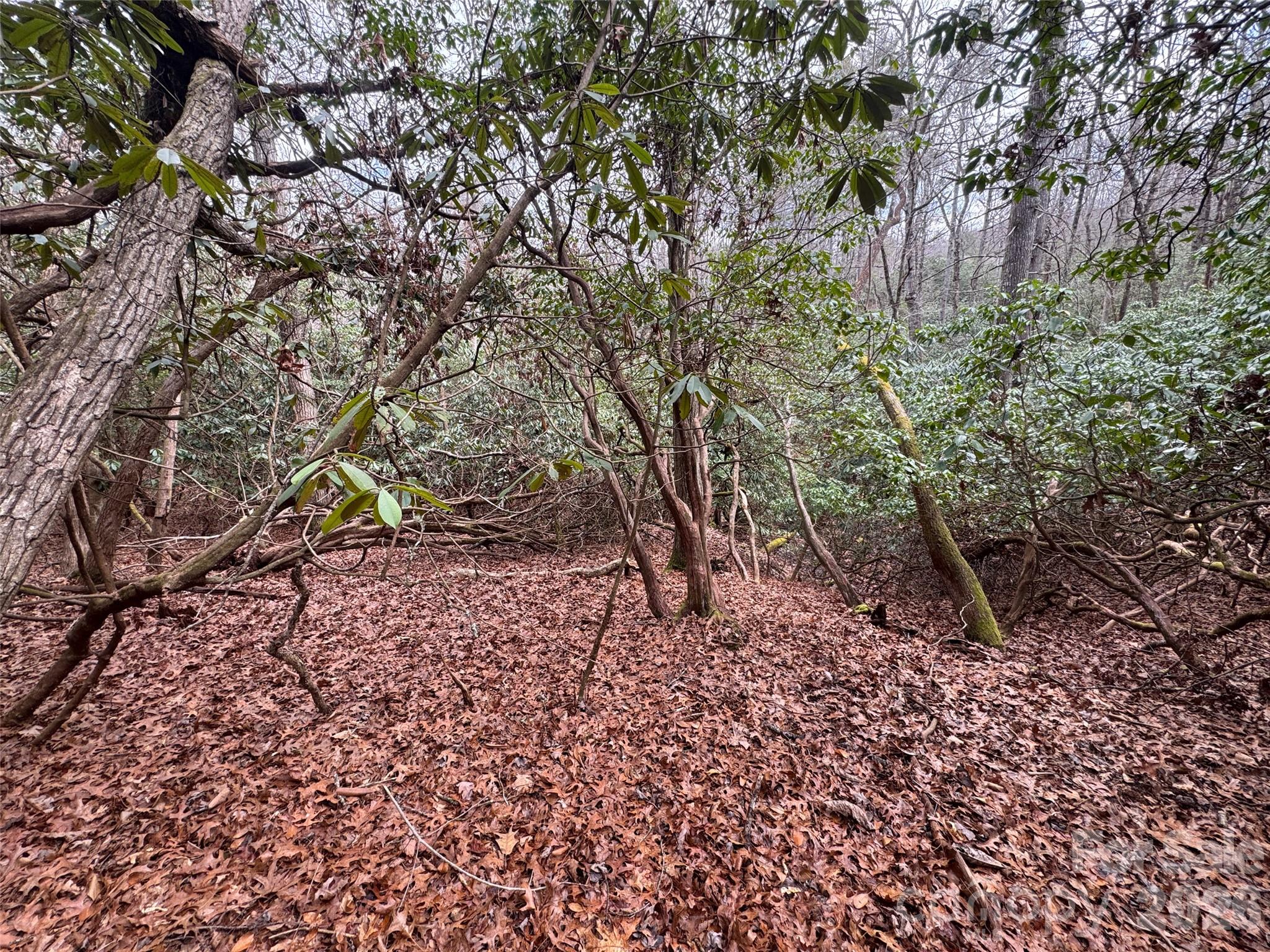 000 Falls Creek Court Pisgah Forest NC 28768