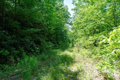 99999 Winding Ridge Road Fairview NC 28730