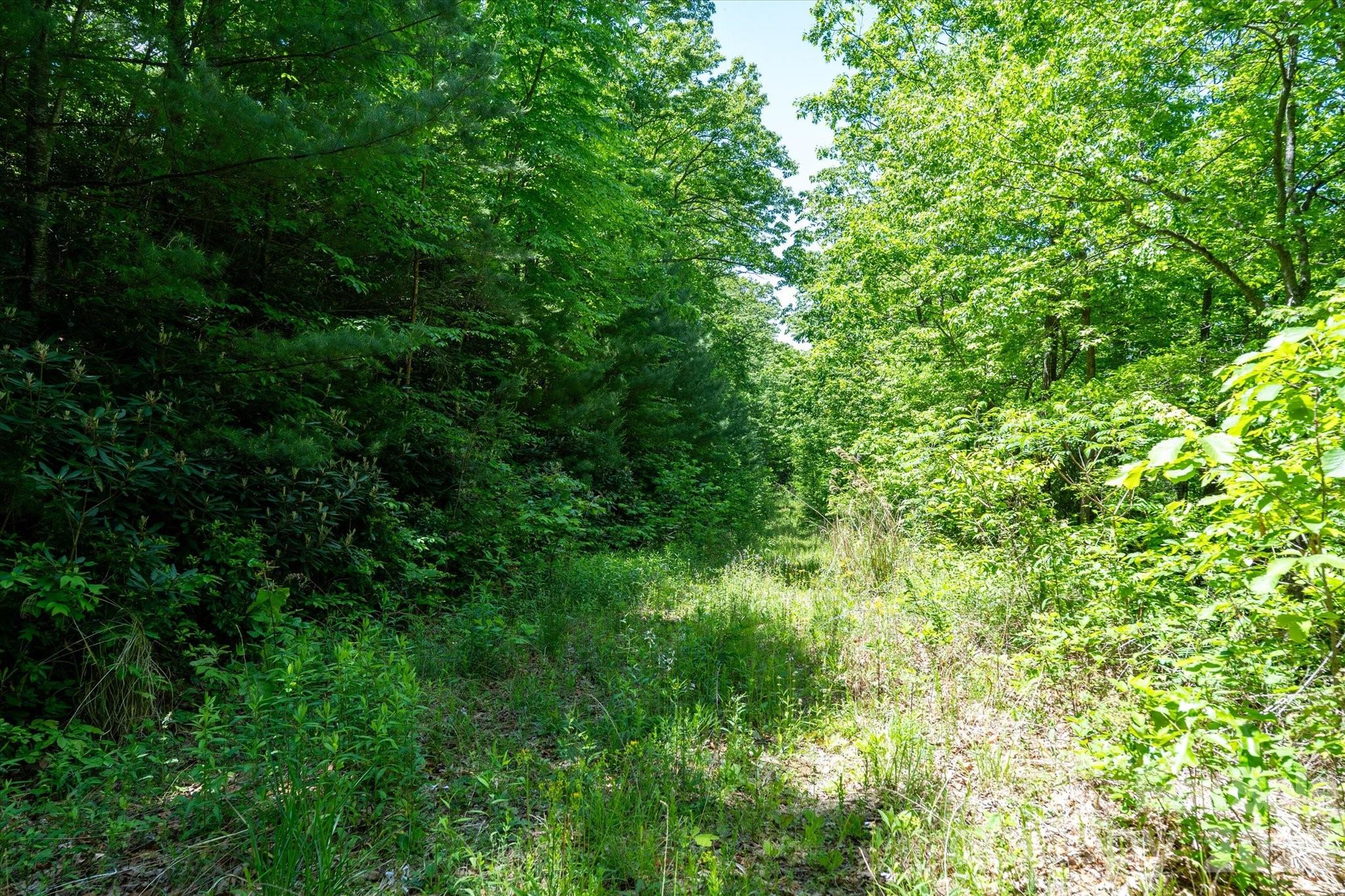 99999 Winding Ridge Road Fairview NC 28730