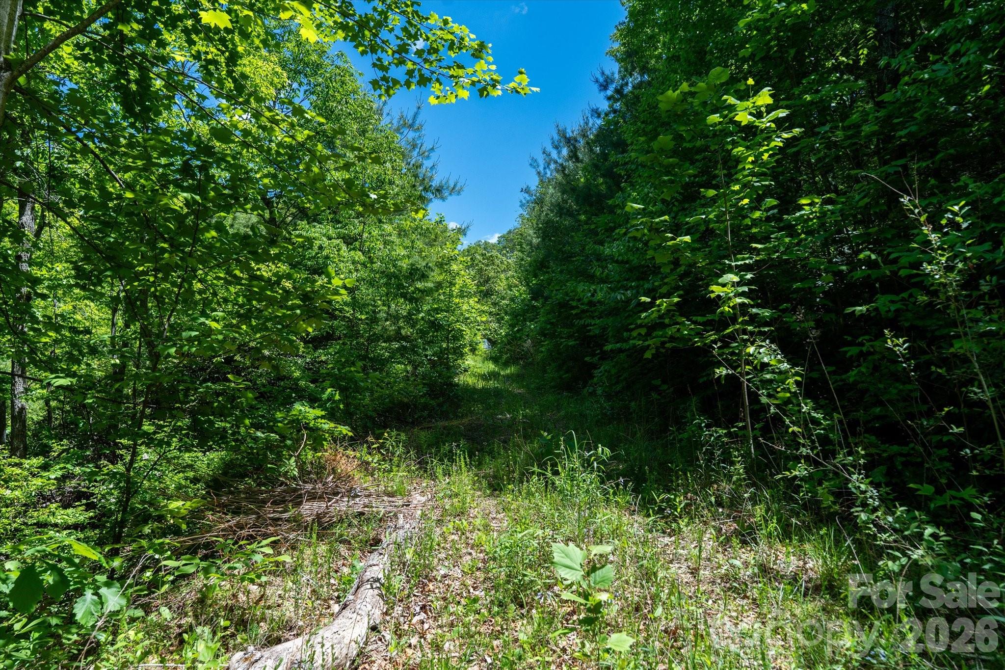 99999 Winding Ridge Road Fairview NC 28730