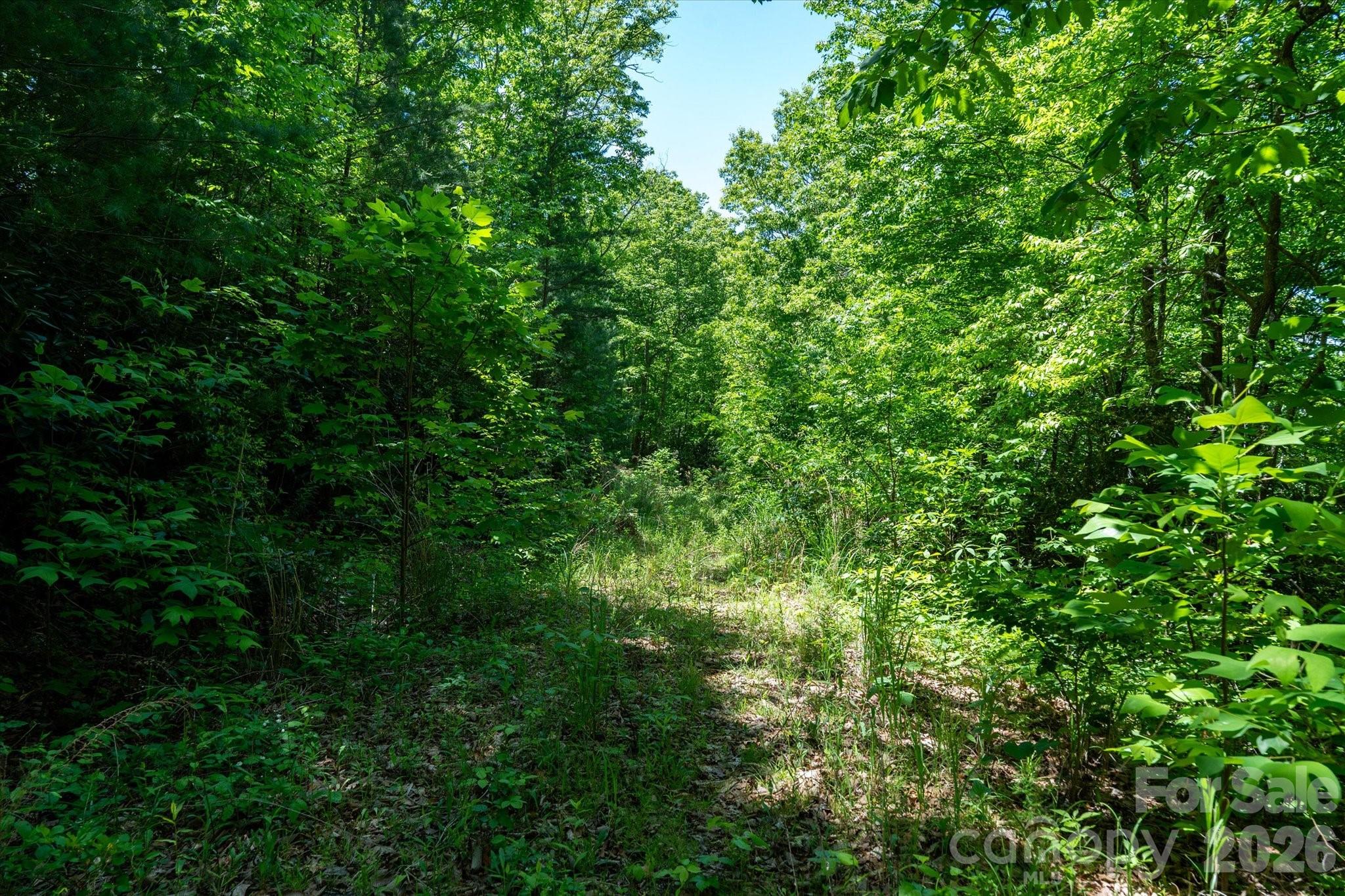 99999 Winding Ridge Road Fairview NC 28730