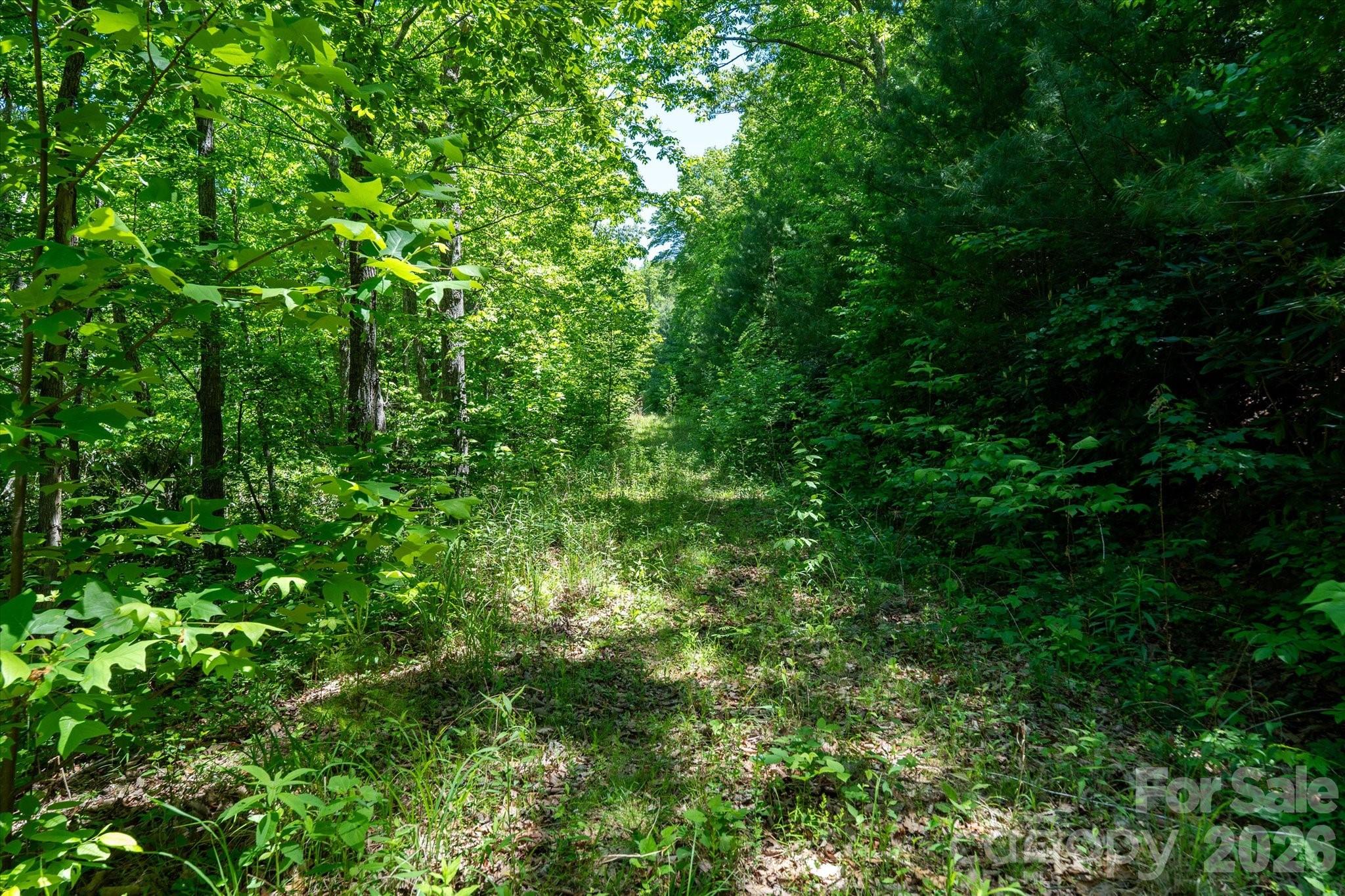 99999 Winding Ridge Road Fairview NC 28730