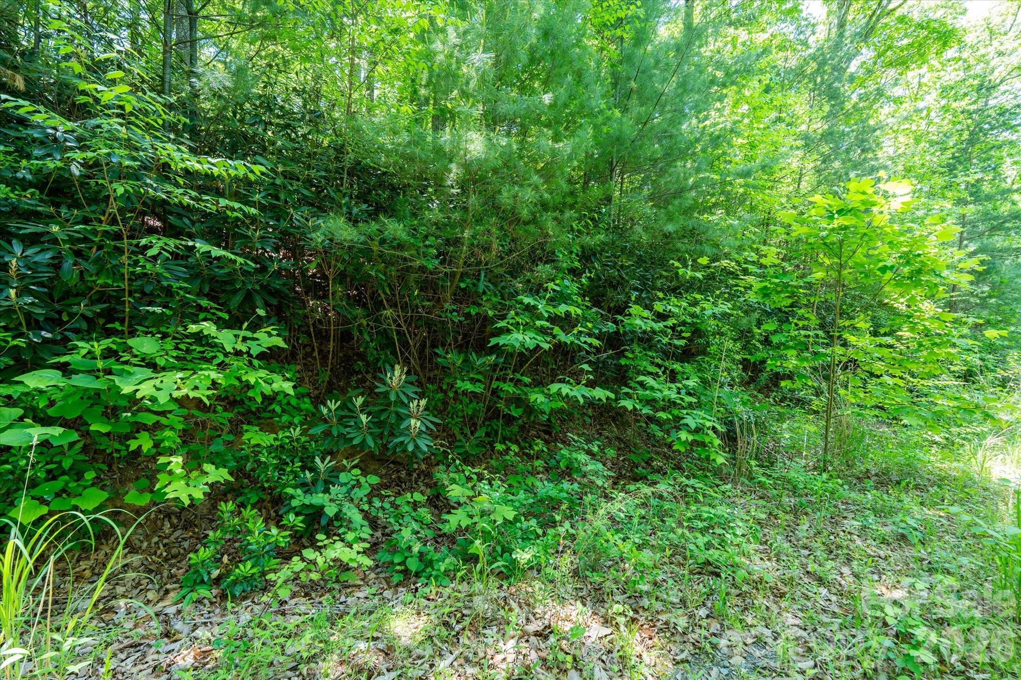99999 Winding Ridge Road Fairview NC 28730