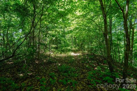 99999 Winding Ridge Road Fairview NC 28730