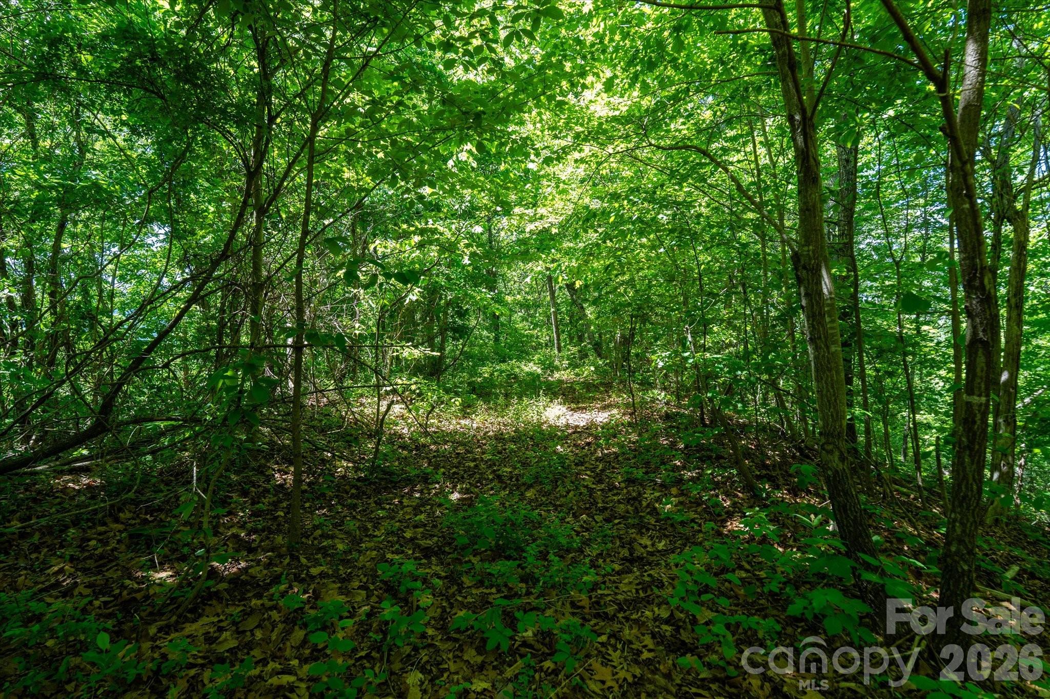 99999 Winding Ridge Road Fairview NC 28730