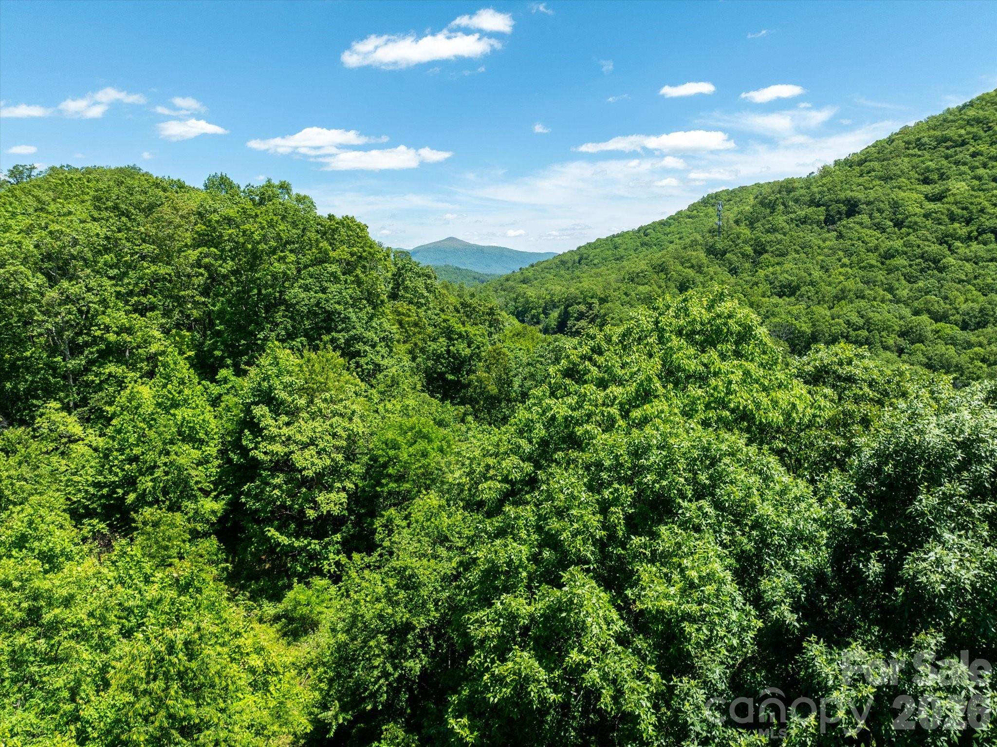 99999 Winding Ridge Road Fairview NC 28730