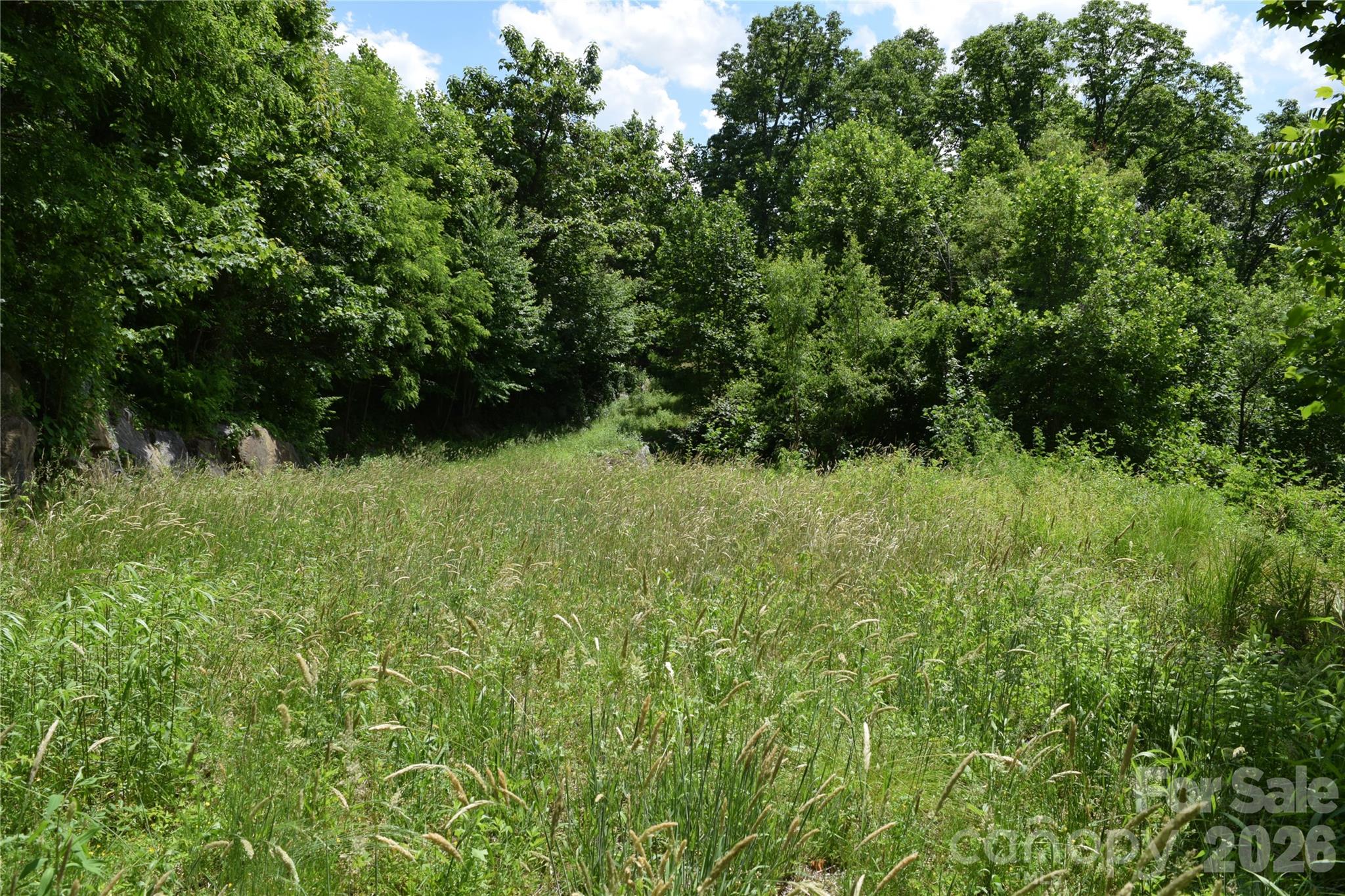 15 Sundown Drive Asheville NC 28803