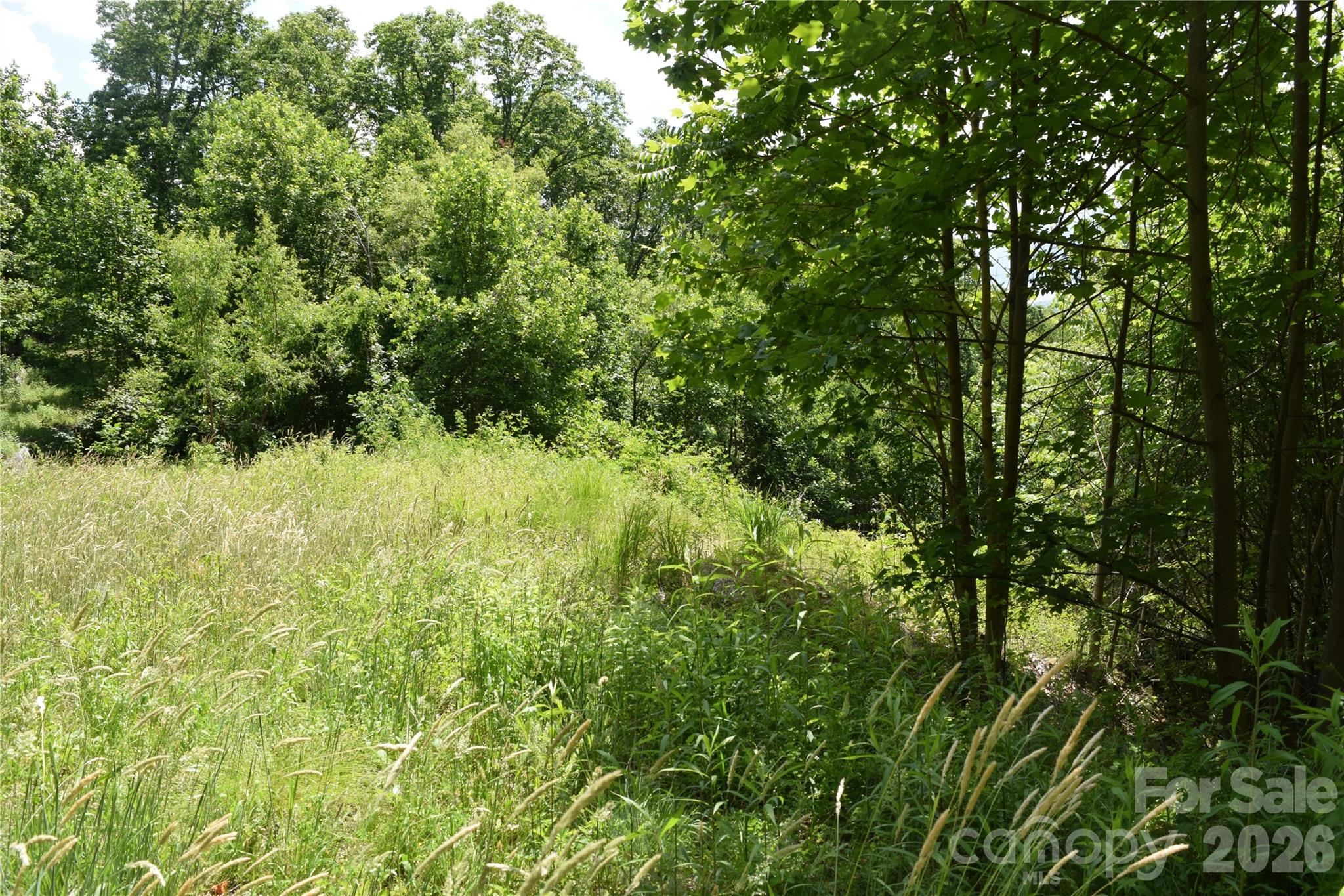 15 Sundown Drive Asheville NC 28803