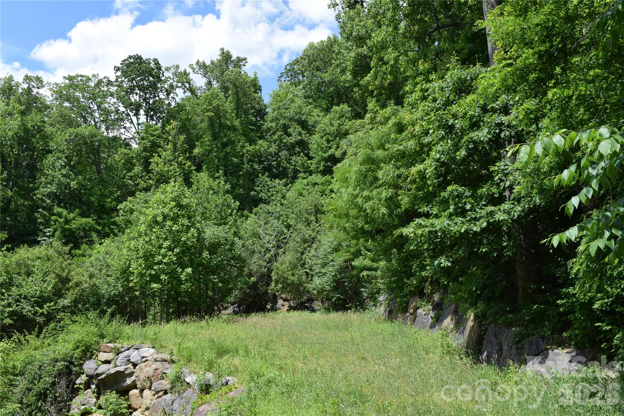 15 Sundown Drive Asheville NC 28803