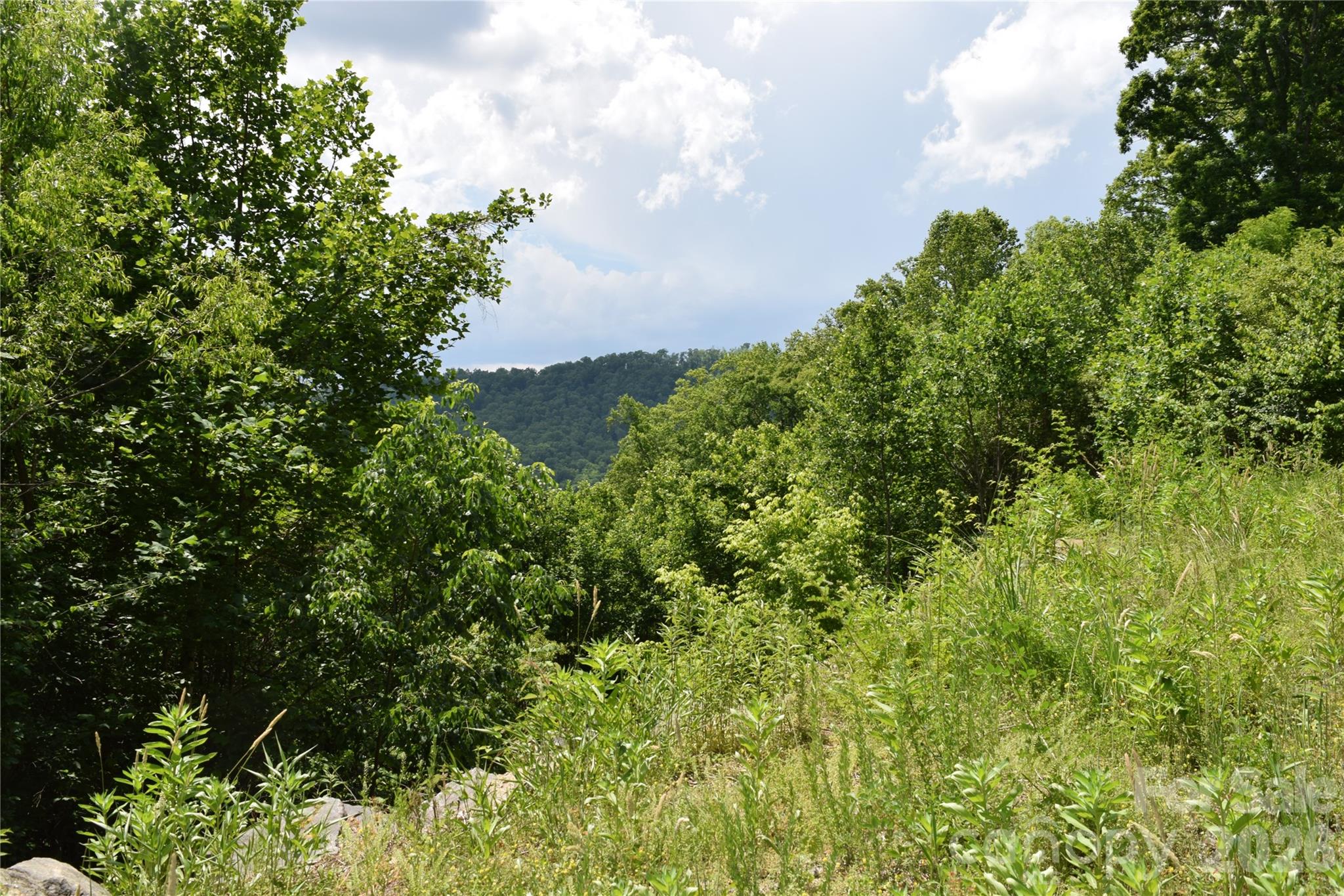 15 Sundown Drive Asheville NC 28803