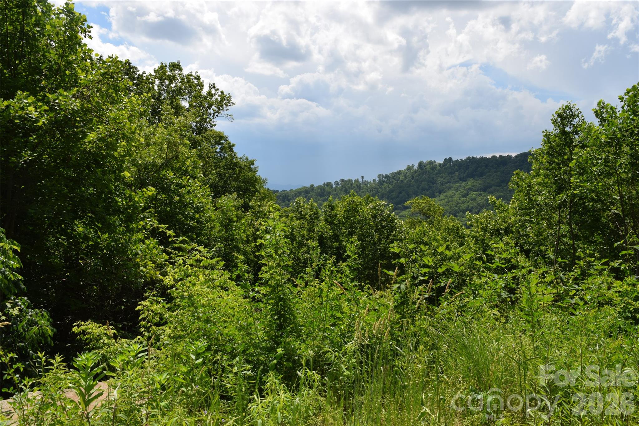 15 Sundown Drive Asheville NC 28803