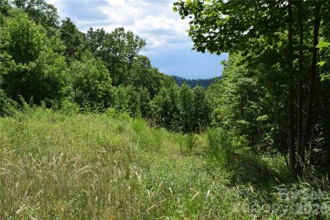 15 Sundown Drive Asheville NC 28803