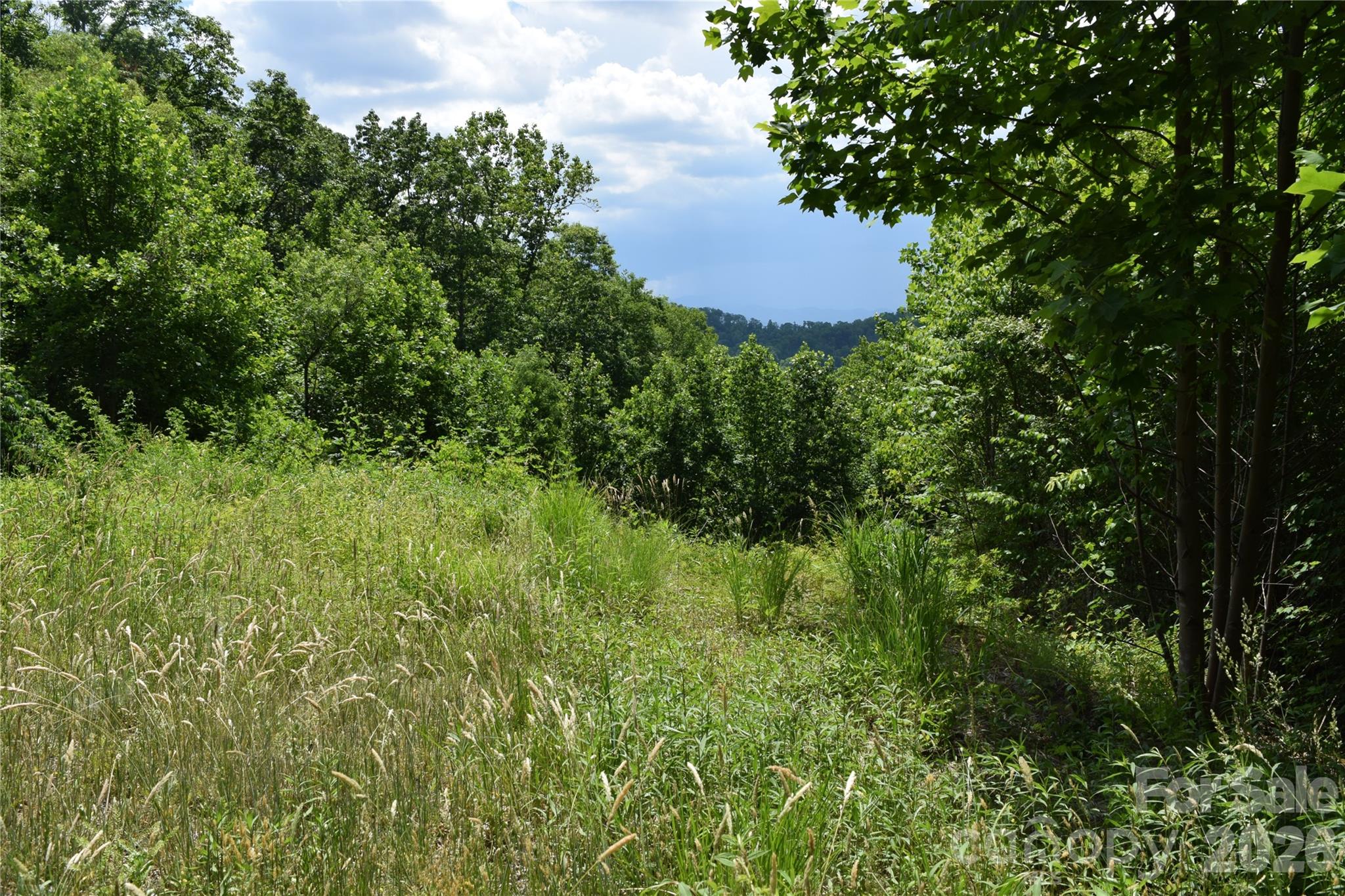 15 Sundown Drive Asheville NC 28803