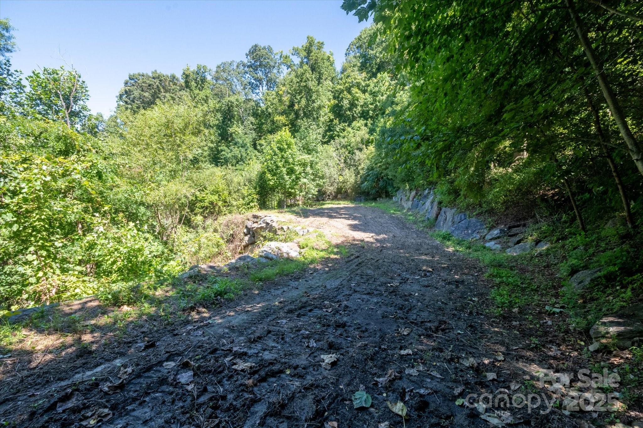 15 Sundown Drive Asheville NC 28803