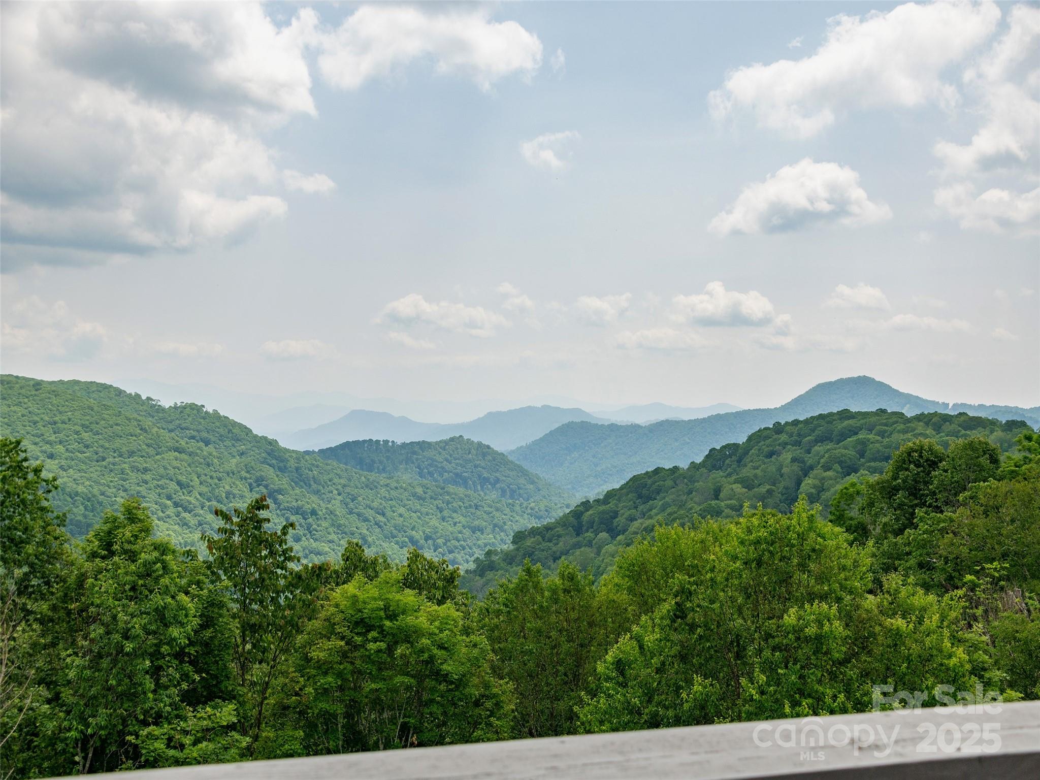000 Tearshirt Lane Mars Hill NC 28754