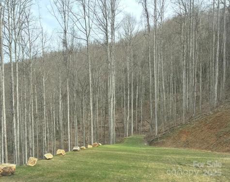 269 Flowering Ridge Road Whittier NC 28789