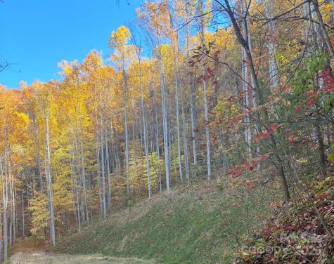 269 Flowering Ridge Road Whittier NC 28789