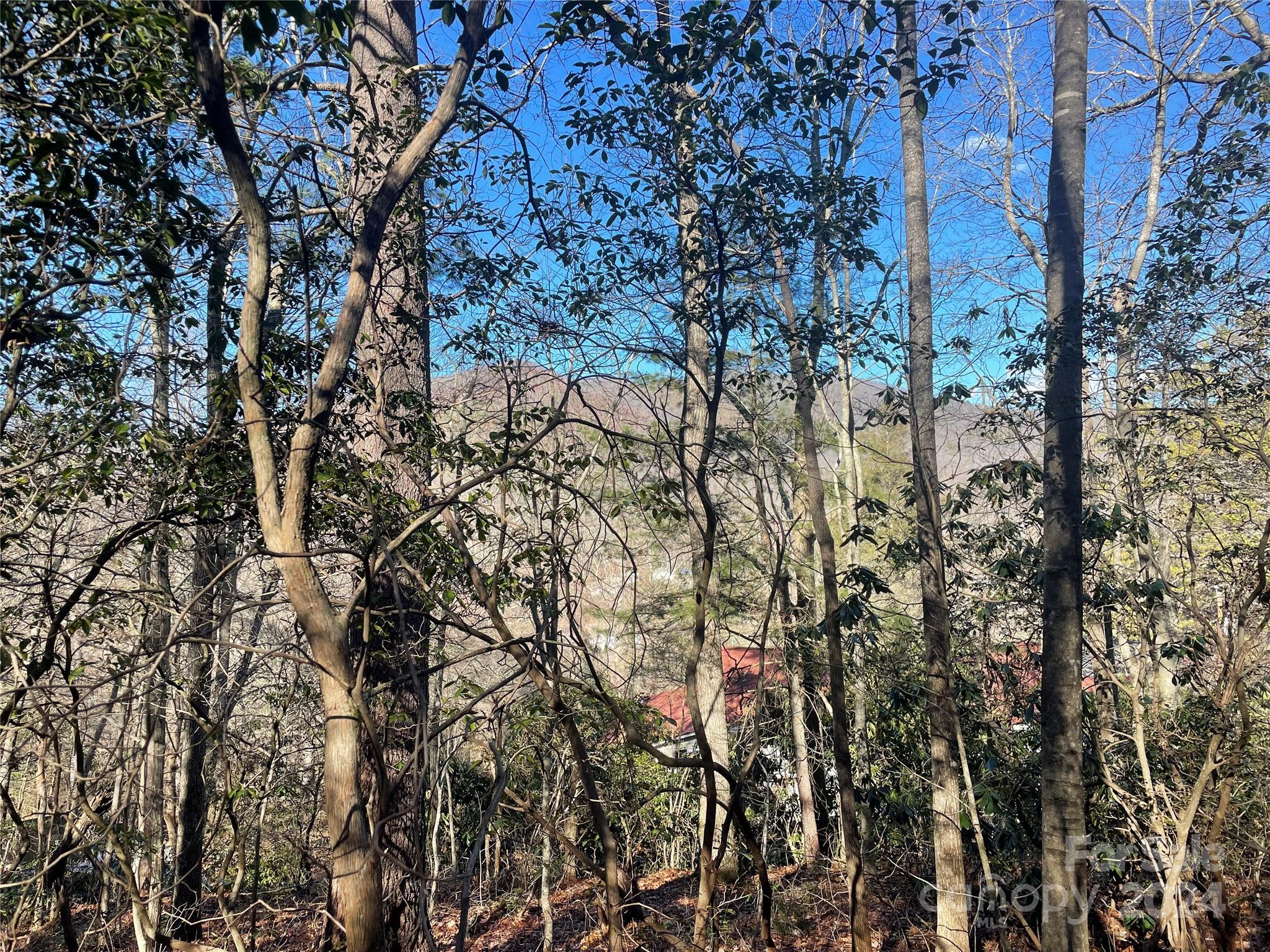 146 Center Street Black Mountain NC 28711