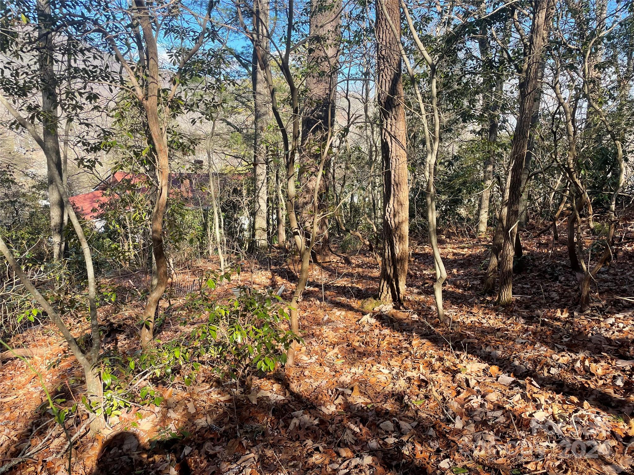 146 Center Street Black Mountain NC 28711