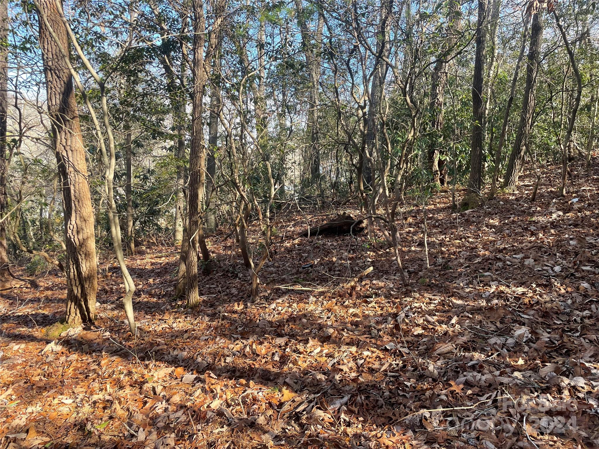 146 Center Street Black Mountain NC 28711