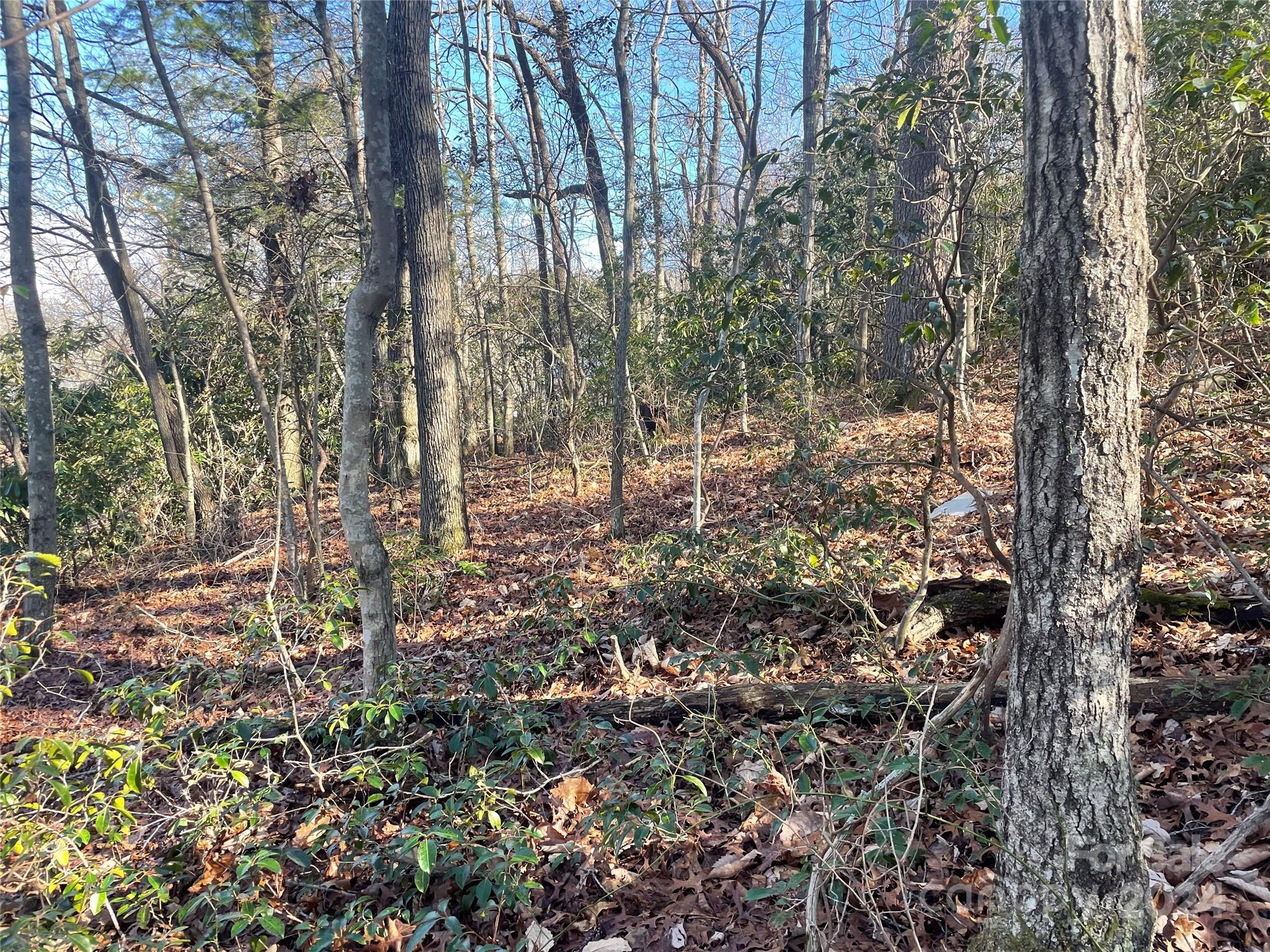 146 Center Street Black Mountain NC 28711