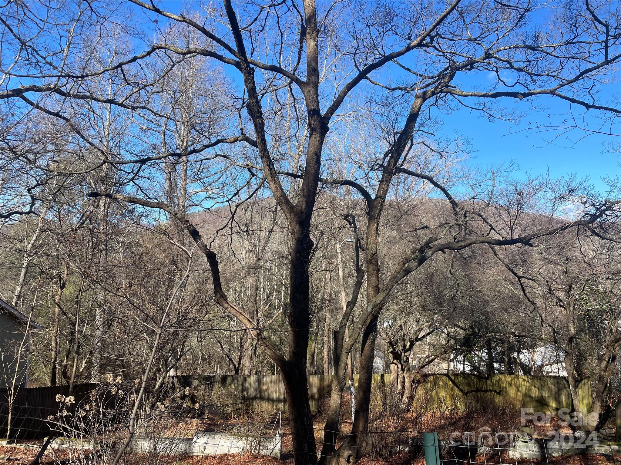 146 Center Street Black Mountain NC 28711