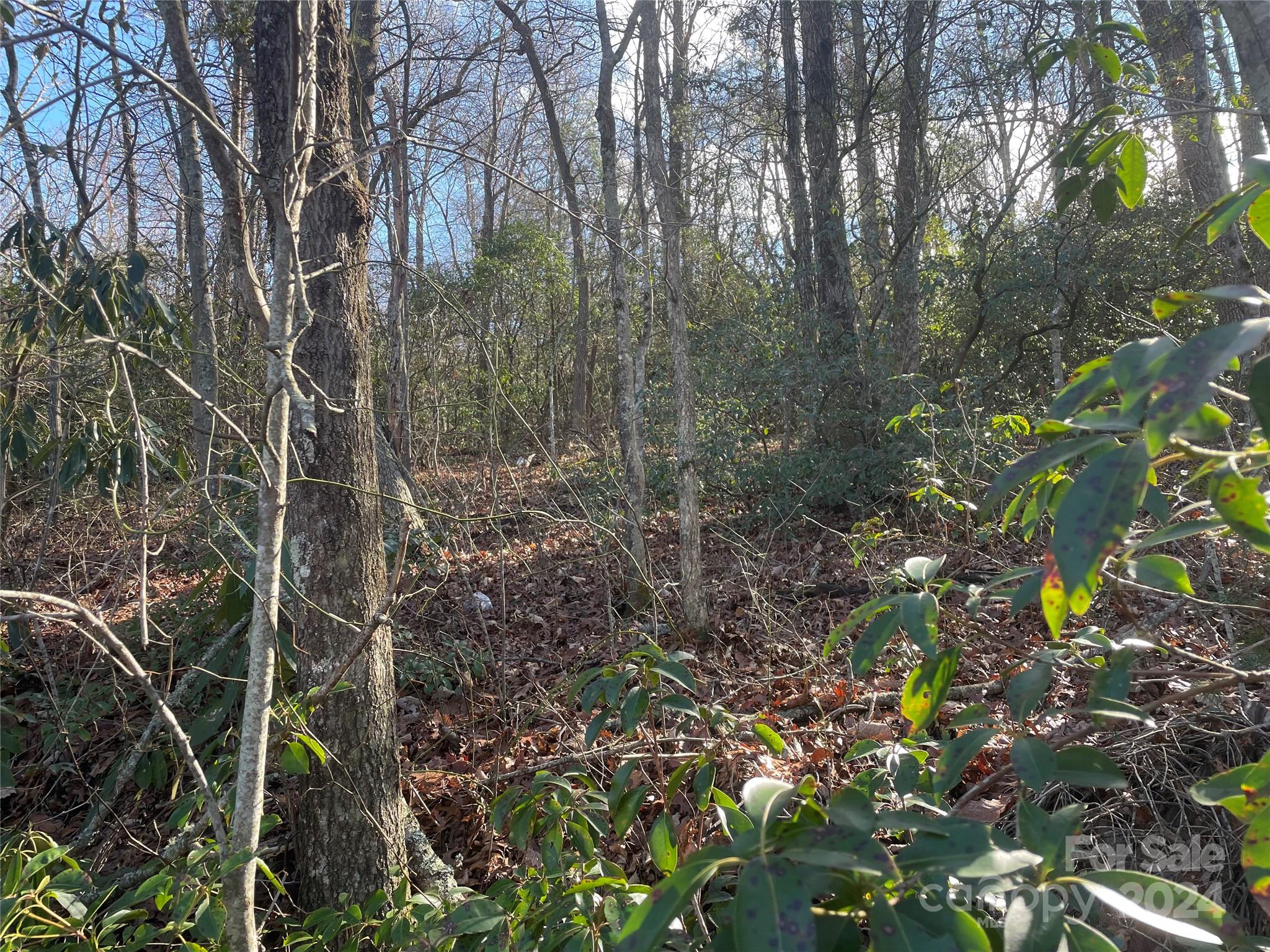 146 Center Street Black Mountain NC 28711