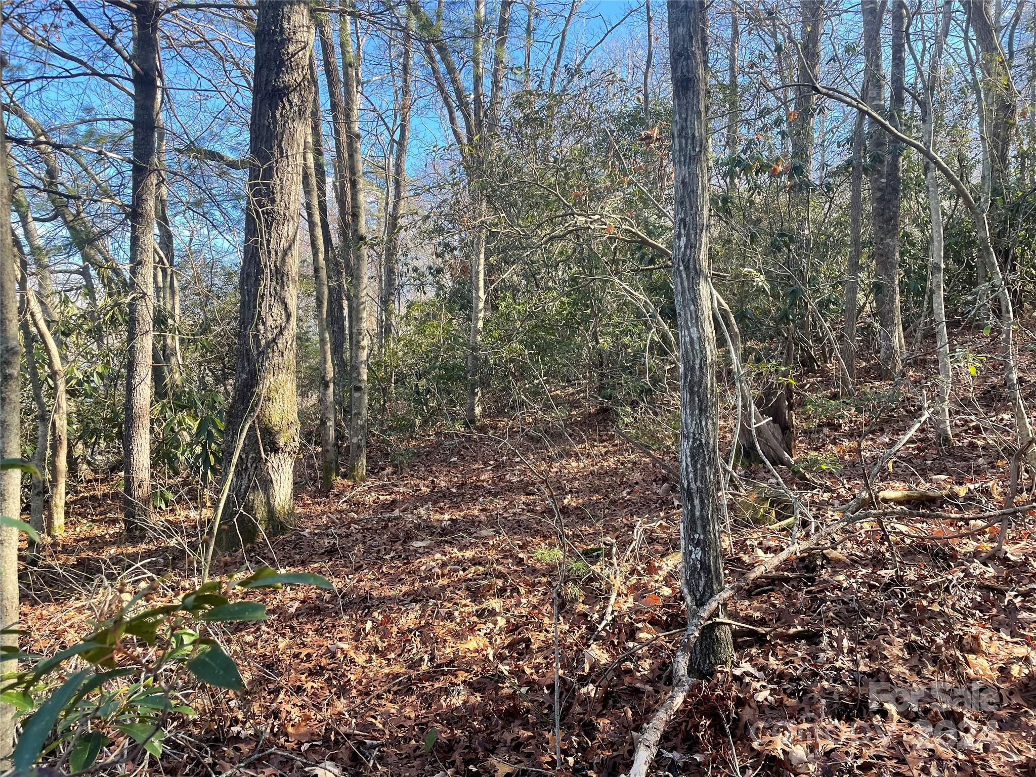 146 Center Street Black Mountain NC 28711