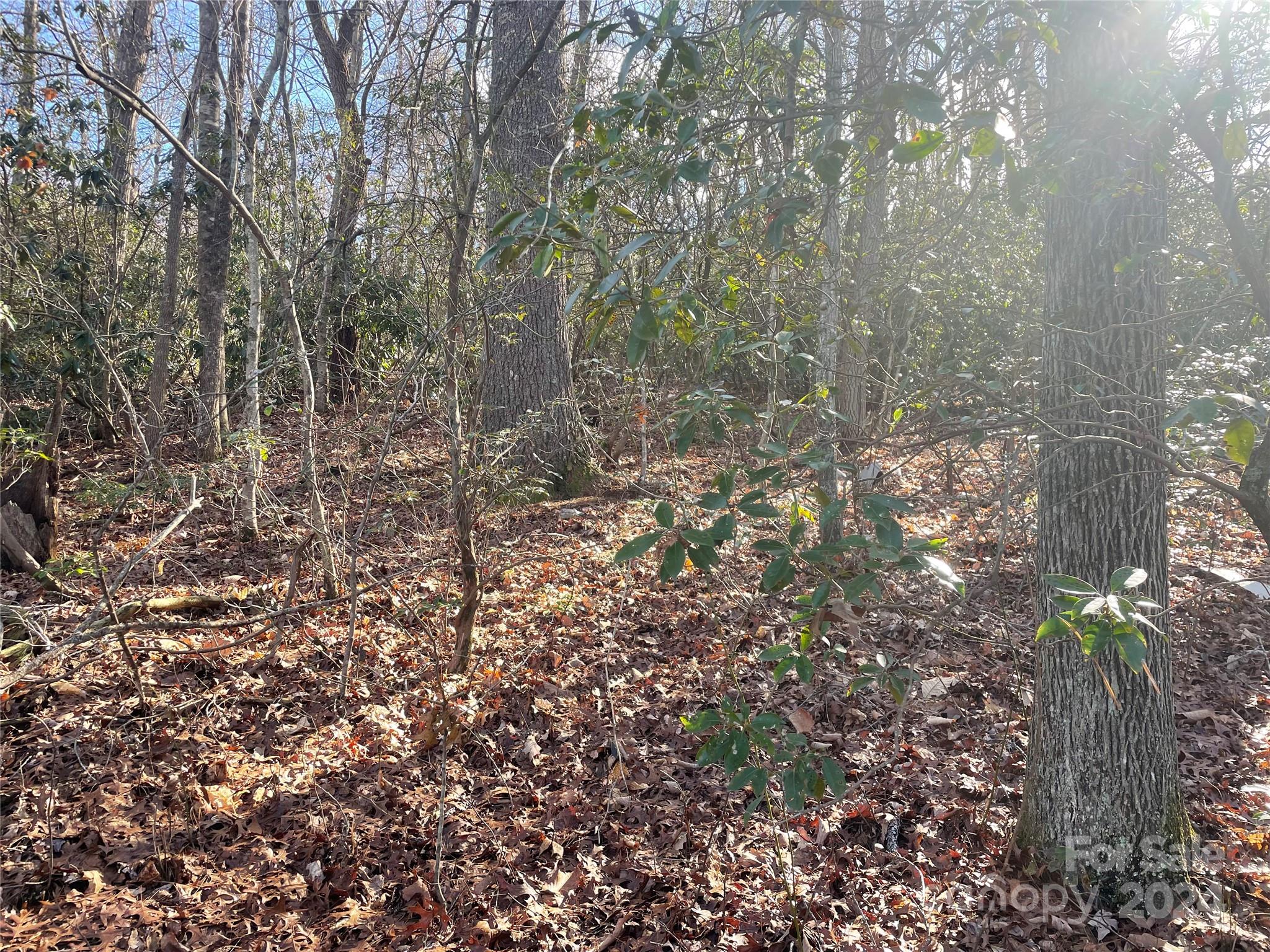 146 Center Street Black Mountain NC 28711