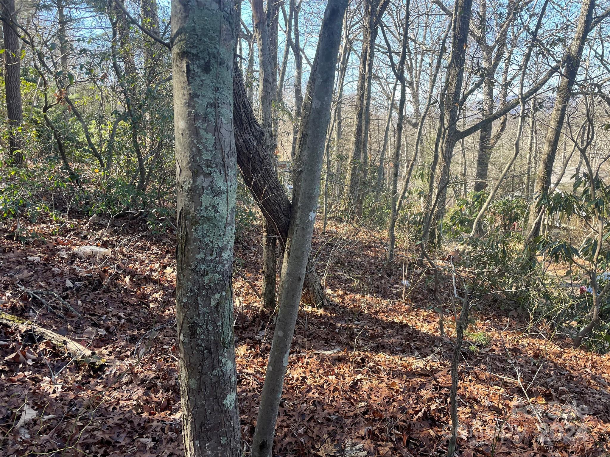 146 Center Street Black Mountain NC 28711