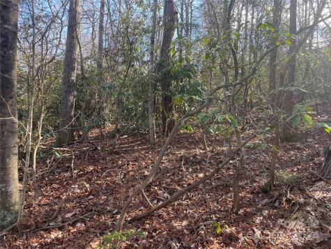146 Center Street Black Mountain NC 28711